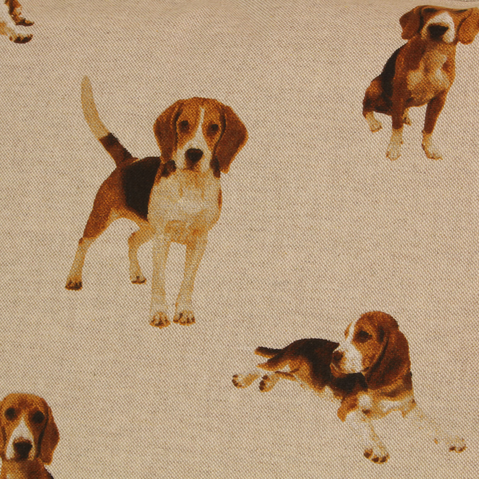 Kissenbezug Hund Beagle-50x50 cm