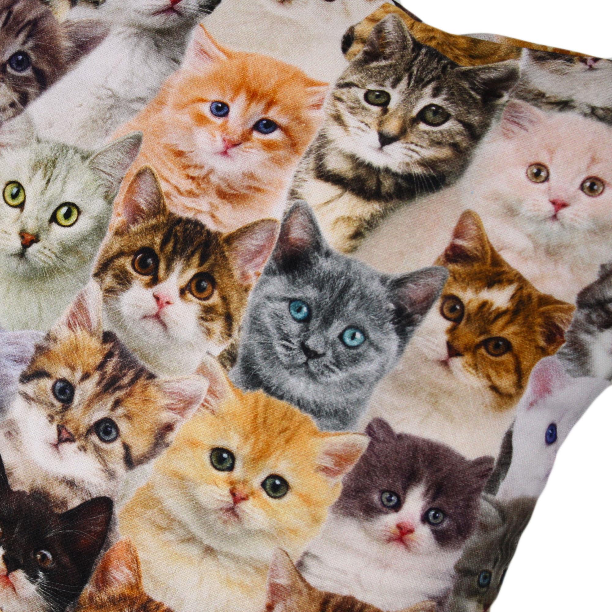 Kissenbezug 40x40 cm süße Kätzchen Baumwolle